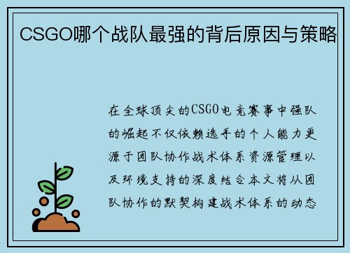 CSGO哪个战队最强的背后原因与策略