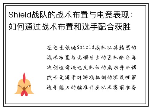 Shield战队的战术布置与电竞表现：如何通过战术布置和选手配合获胜
