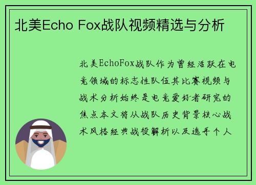 北美Echo Fox战队视频精选与分析